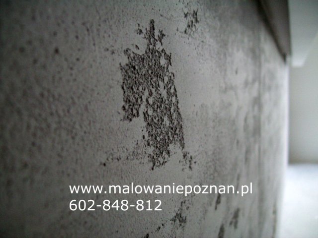 beton dekoracyjny architektoniczny pyty betonowe wykoczenia wntrz malowanie szpachlowanie pozna1